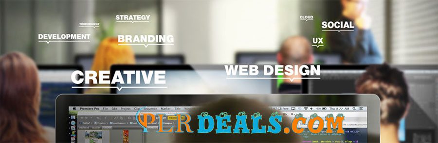 How to make money with PLR products?