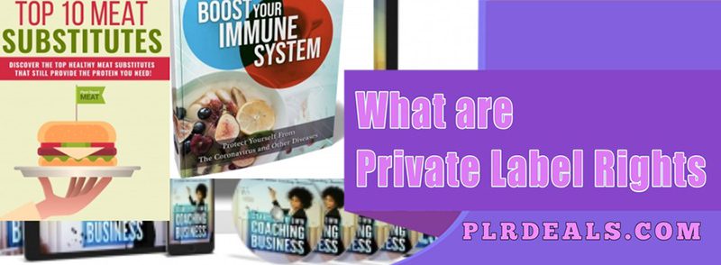What is Private Label Rights (PLR)?