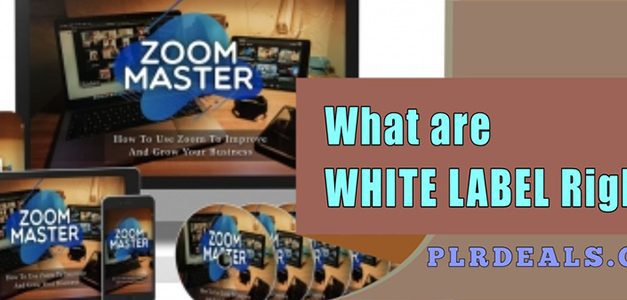 What is White Label Rights (WLR)?