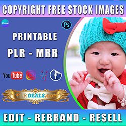 copyrights free stock images-2025