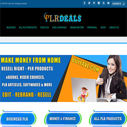 readymade PLR website